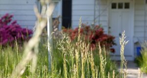 Bad curb appeal can hurt your chances of selling your home